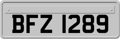 BFZ1289