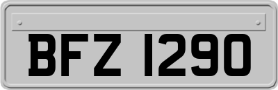 BFZ1290