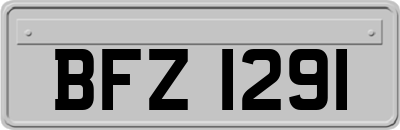 BFZ1291