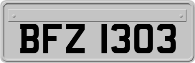 BFZ1303