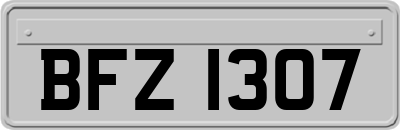 BFZ1307