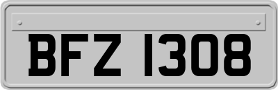 BFZ1308