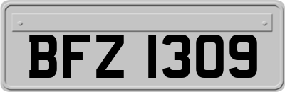 BFZ1309