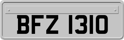 BFZ1310