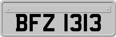 BFZ1313