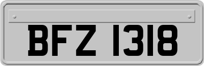 BFZ1318