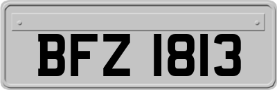 BFZ1813