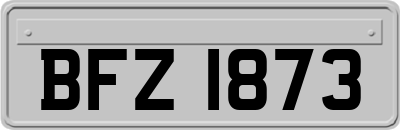 BFZ1873