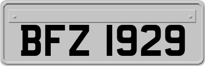 BFZ1929