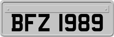 BFZ1989