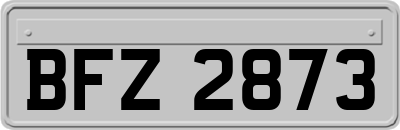 BFZ2873