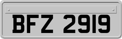 BFZ2919