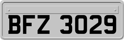 BFZ3029