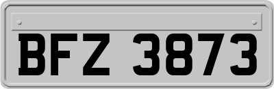 BFZ3873