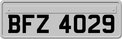 BFZ4029