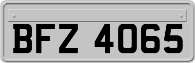BFZ4065