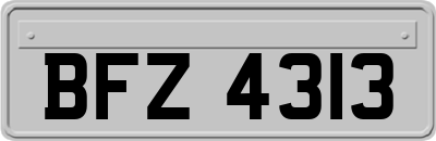 BFZ4313
