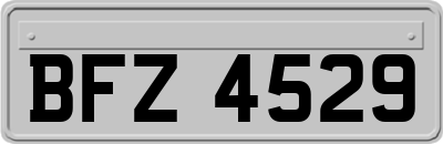 BFZ4529