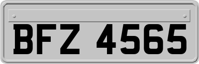 BFZ4565