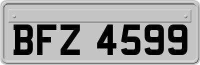 BFZ4599