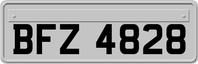 BFZ4828