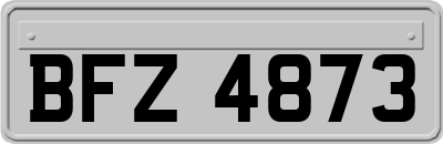 BFZ4873