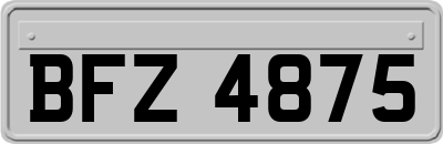 BFZ4875