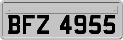 BFZ4955