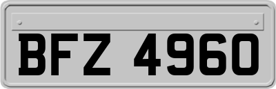BFZ4960