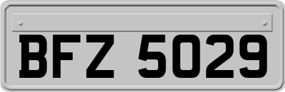 BFZ5029