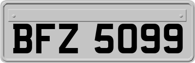 BFZ5099