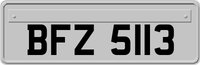 BFZ5113