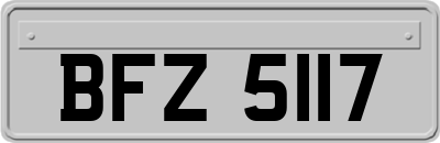 BFZ5117