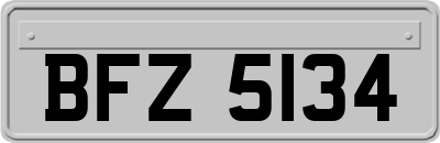 BFZ5134