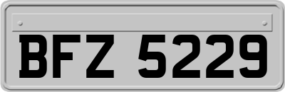 BFZ5229