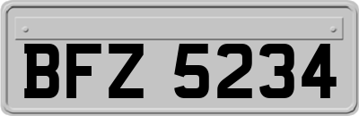 BFZ5234