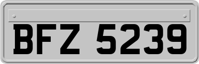 BFZ5239