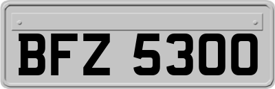 BFZ5300