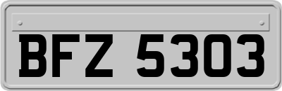 BFZ5303