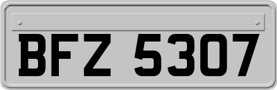 BFZ5307