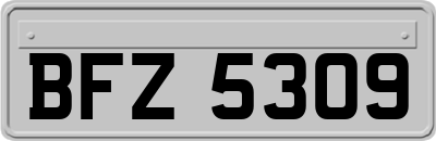 BFZ5309
