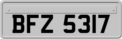 BFZ5317