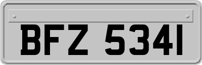 BFZ5341