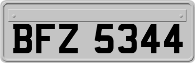 BFZ5344