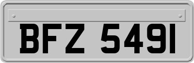 BFZ5491