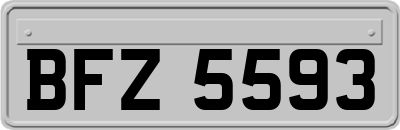 BFZ5593