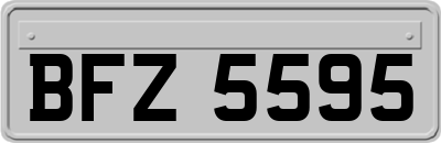 BFZ5595