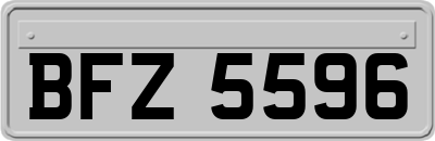 BFZ5596