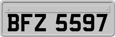 BFZ5597