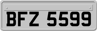 BFZ5599